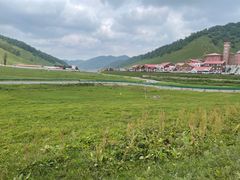 -关山草原