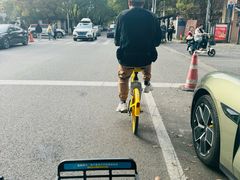 -高东镇樱花园