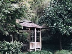 -千岛湖东南湖区