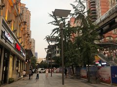 -好利来.生日蛋糕(杨家坪店)