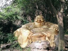 -紫金山山顶公园