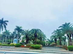 -白鹭洲公园