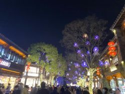-Dr.林醫生产后修复·配方产康(南京江宁万达店)