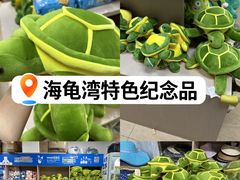 -广东惠东海龟国家级自然保护区