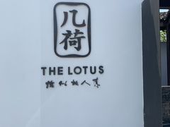 -几荷·恰似故人来(秀水广场店)