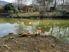 -森波拉奇妙世界