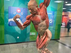 -国家自然博物馆