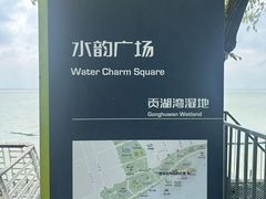 -贡湖湾湿地公园