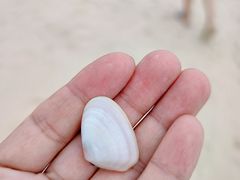 -碧桂园十里银滩