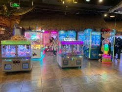 -卡通尼·Safari非洲探索乐园·生日会(金桥国际商业广场店)