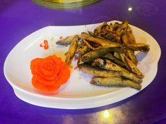 富硒小河鱼-温汤大酒店餐厅