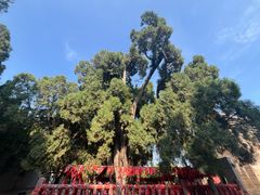 -四门塔风景区