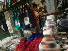 -猫咪博物馆(顶澳仔猫街店)