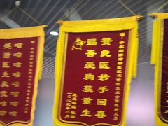 -中农国际动物医院24小时·猫科·骨科·急重症中心