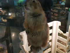 -宠物世家(仲盛世界商城店)