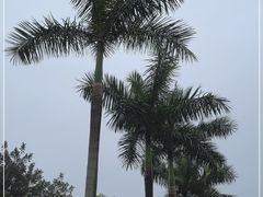 -广州市白云山风景名胜区