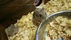 -酷嗒动物文化乐园(cutezoo西溪乐天城店)