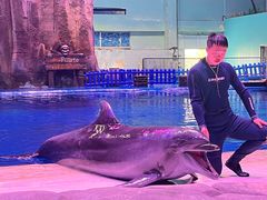 -华夏文旅海洋公园