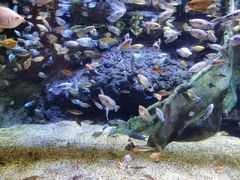 -上海海洋水族馆