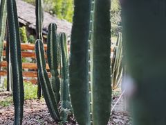 -MOJ coffee(瓯海泽雅水碓坑店)