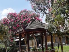 -武汉紫薇都市田园