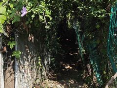 -树山生态村