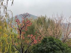 景观位-唐御宴•御宴宫•唐代菜点(芙蓉西路店)