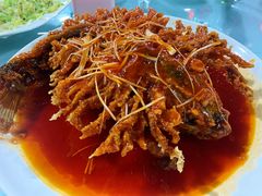 金毛狮子鱼-石饮红星包子(中山路店)