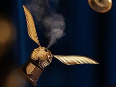 -BEAST野兽派(上海浦东嘉里城店)