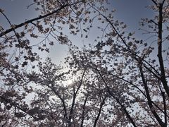 -龙美术馆(西岸馆)