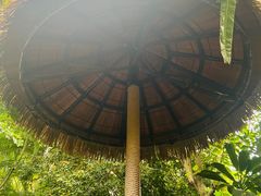 -碧桂园润杨溪谷温泉酒店