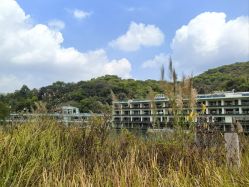 -致友月子会所旗舰店