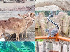 -北京野生动物园