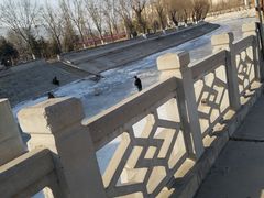 -永定河休闲森林公园