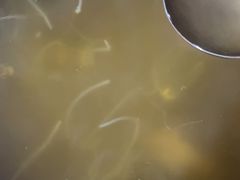 -陈记盖饭面庄(天龙广场店)