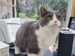 -佐罗家宠物馆·猫文化馆(紫霞路店)