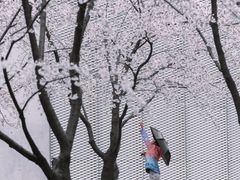 -龙美术馆西岸馆-停车场