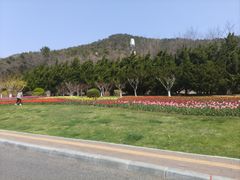 -棒棰岛宾馆景区