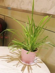 -北京俪婴妇产医院(朝阳大悦城店)