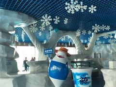 -秦皇岛乐岛海洋王国