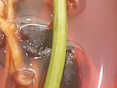 -望海潮海鲜店 特色家常菜(在海一方店)