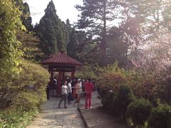 景点-庐山风景区花径公园