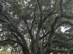 -桂林独秀峰王城景区