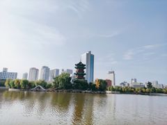 -迎泽公园