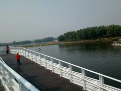 -大兴滨河森林公园