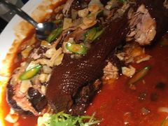 -苏浙总会(国金中心店)