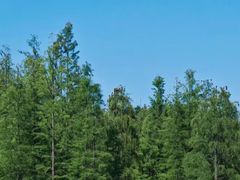 -白鹭湾湿地公园