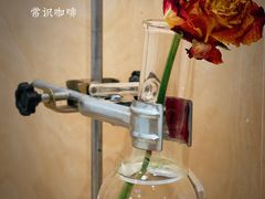 -常识咖啡common sense(春熙路店)