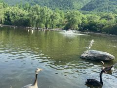 -西安秦岭野生动物园