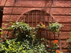 -Ocean's Table 欧舍